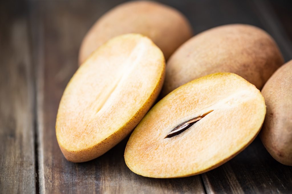 sapodilla ines aktinovolia 1024x683 jpg