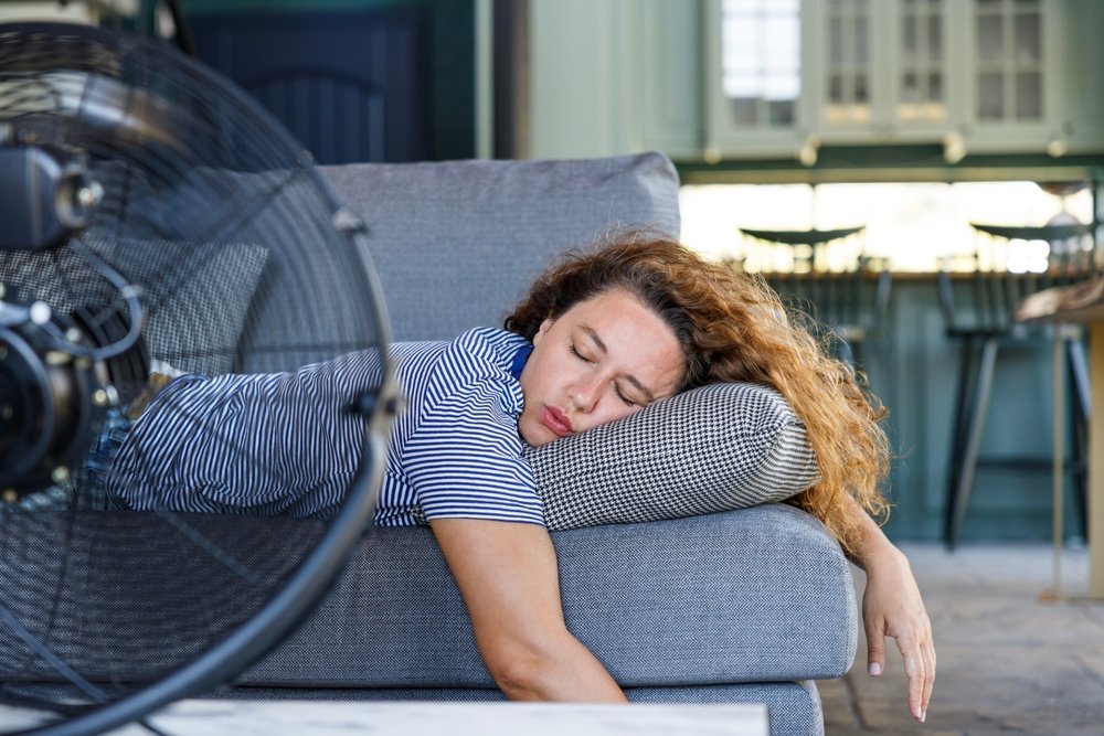 shutterstock 2505179883 jpg