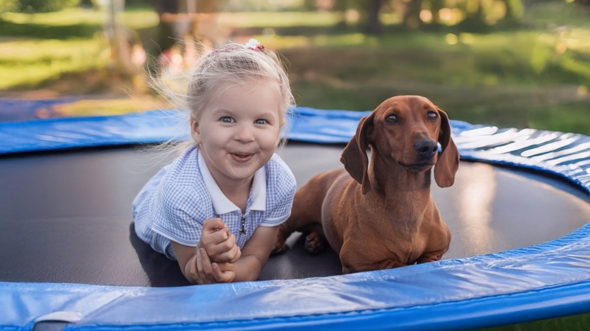 skylos shutterstock 2635996577 jpg