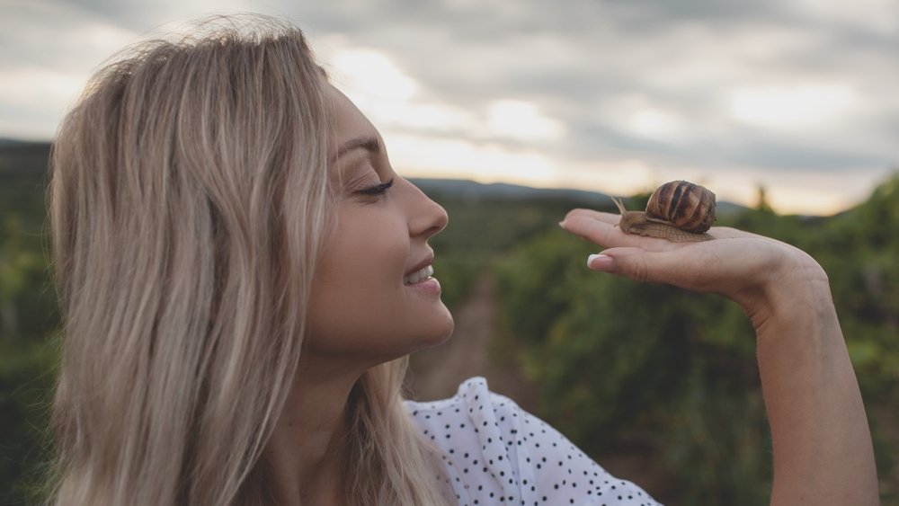 snail saligari shutterstock 2342116919 jpg