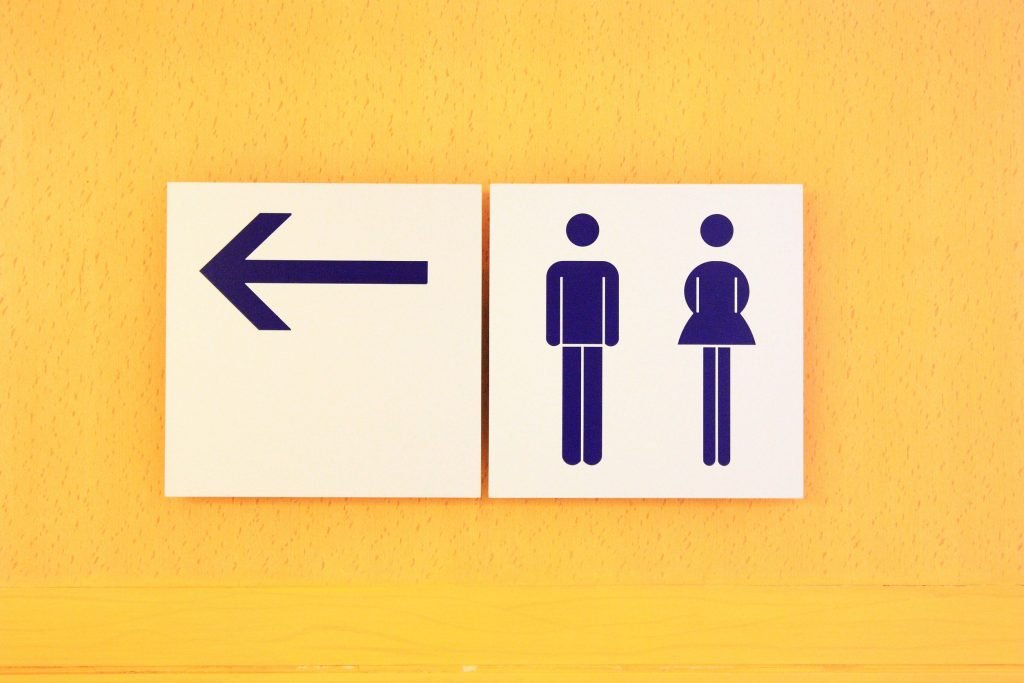 toyaleta lathos aimorroides 1024x683 jpg