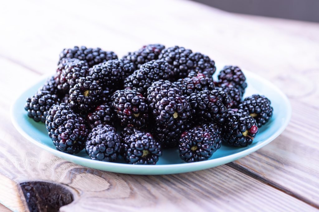 vatomoyro kardia sakcharo 1024x683 jpg