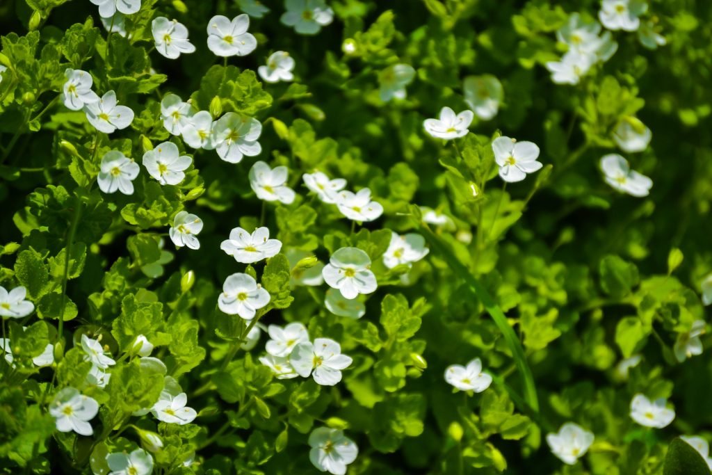 votano dimioyrgoy stres egkefalo 1024x683 jpg